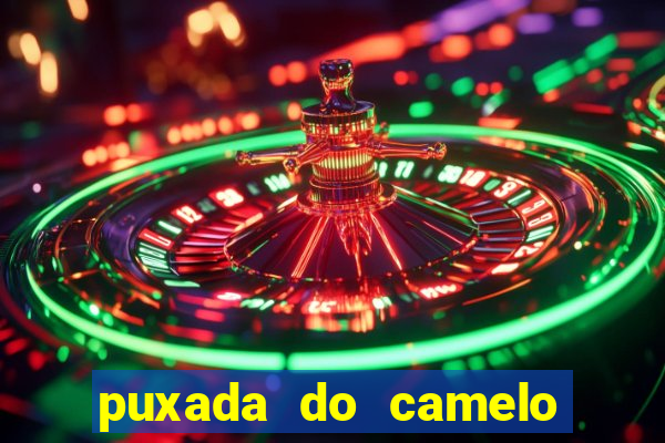 puxada do camelo jogo do bicho